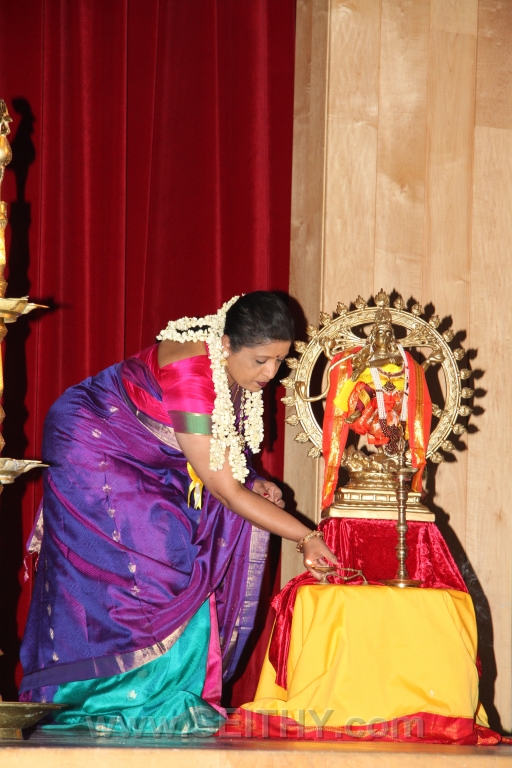 LORDKRISHNA-TORONTO300313SEITHY (10)